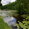 Ingatestone - England (United Kingdom)