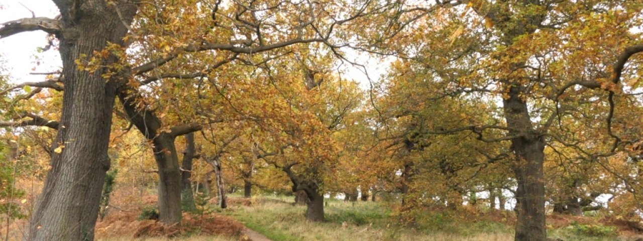 Dalkeith - Scotland / United Kingdom