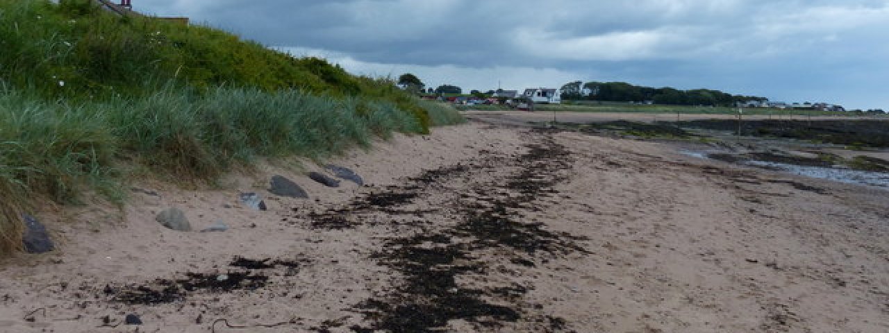 Carnoustie - Scotland / United Kingdom