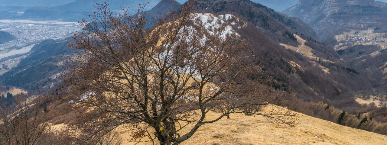 Forchia - Campania / Italy