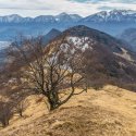 Forchia - Campania (Italy)