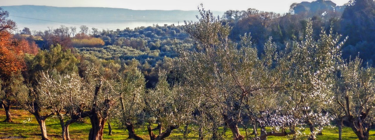 Vicarello - Lazio / Italy