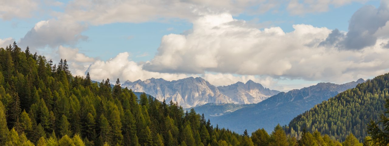 Ne - Liguria / Italy