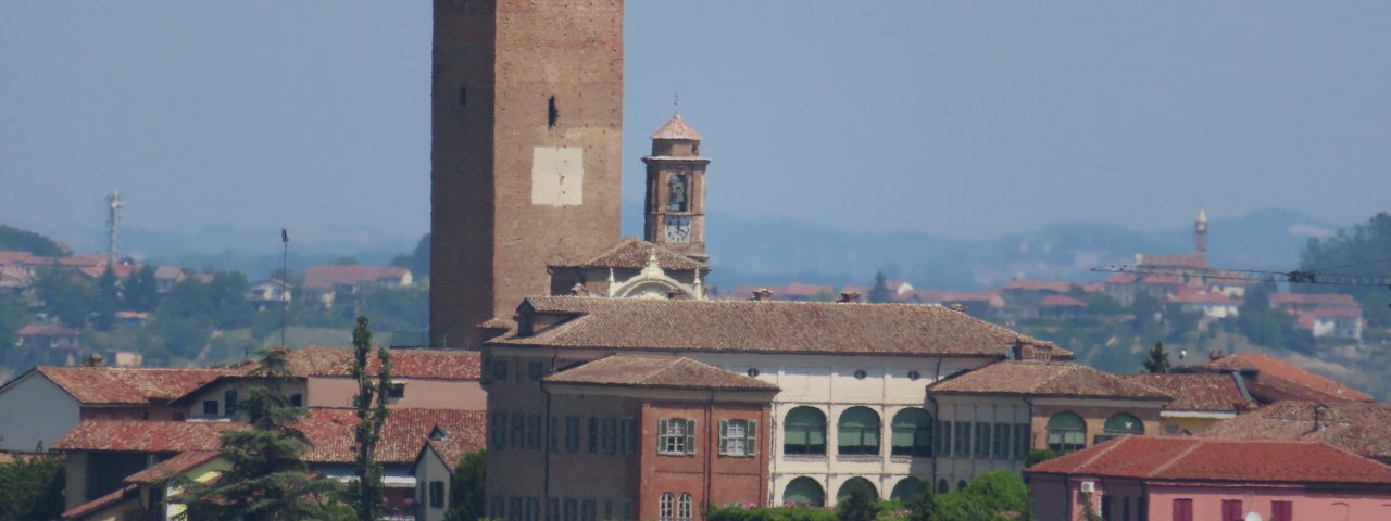 Barbaresco - Piemonte / Italy