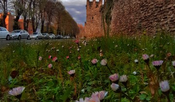 Rieti