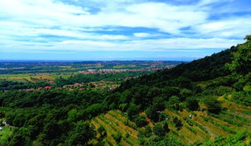 Montevecchia