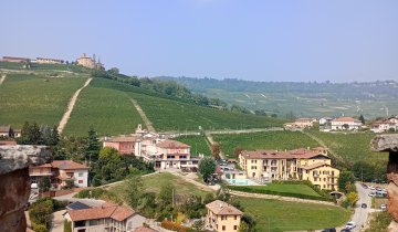 Barolo