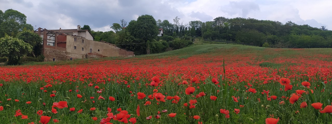 Revigliasco - Piemonte / Italy