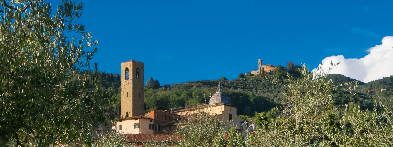 Massa E Cozzile - Tuscany / Italy