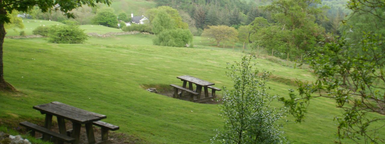 Gwydir Forest Park | Betws-y-coed | Gales | Reino Unido