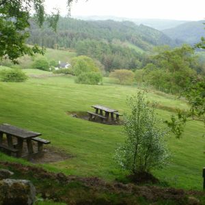 Gwydir Forest Park