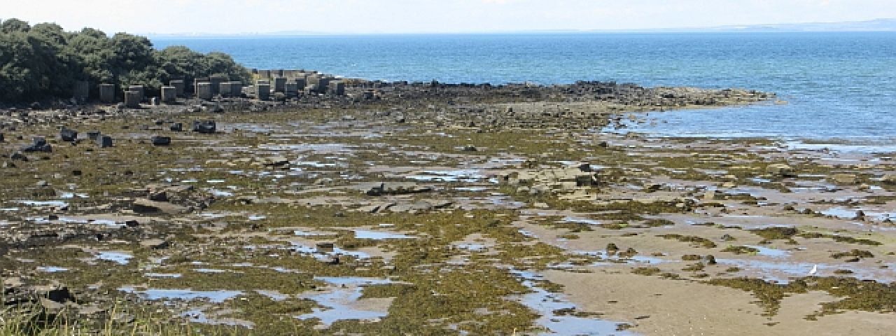 East Sands | St Andrews | Scotland | Reino Unido