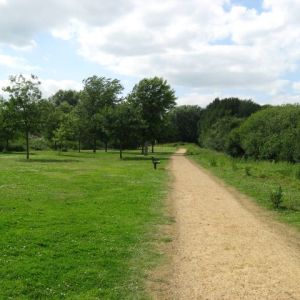 Milton Country Park - Cambridge / England / United Kingdom