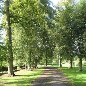 Callendar Park