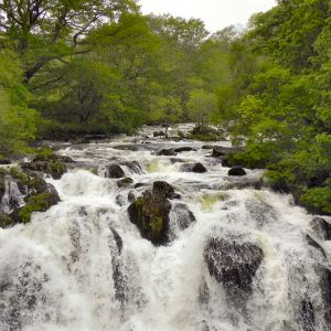 Rhaeadr Ewynnol / Swallow Falls