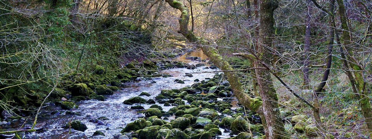 Ingleton Waterfalls Trail | Carnforth | England | United Kingdom