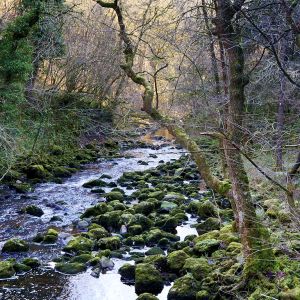 Ingleton Waterfalls Trail