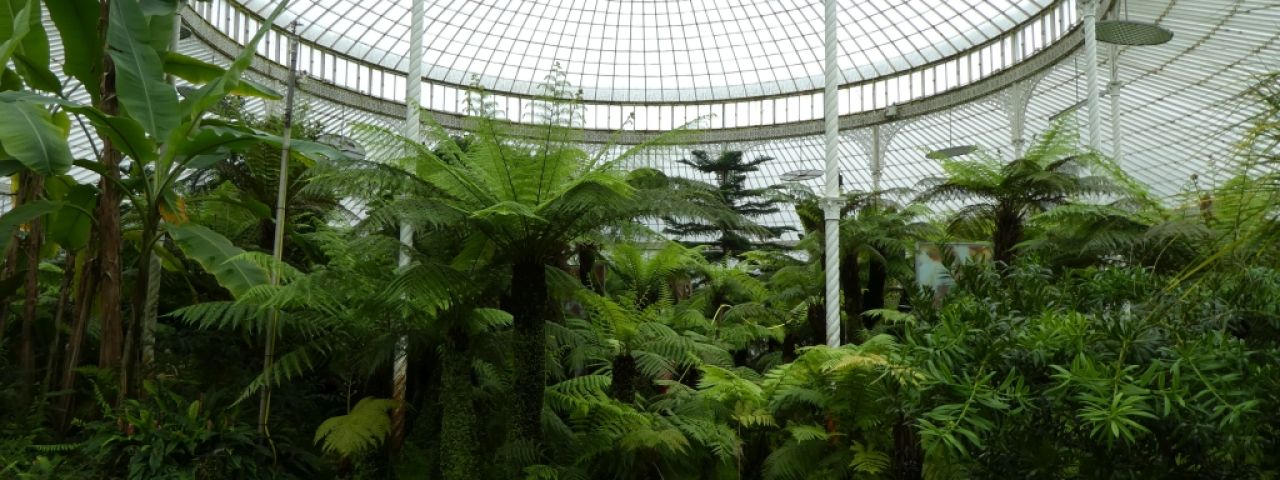 Kibble Palace | Glasgow | Scotland | Royaume Uni