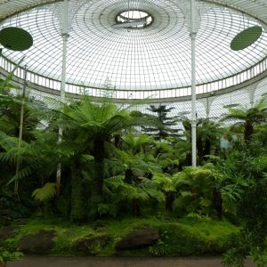 Kibble Palace