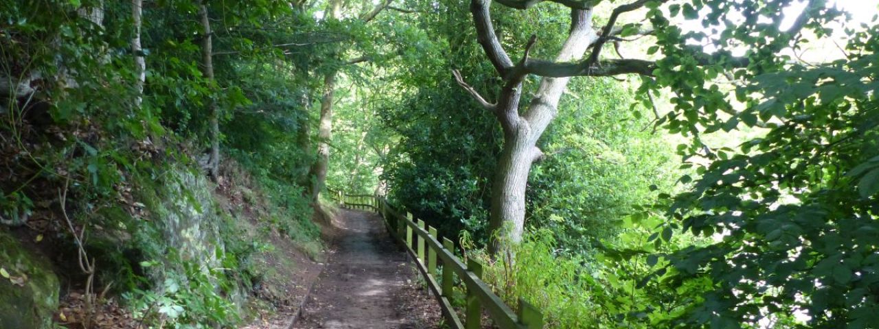 Lymm Dam | Lymm | Inglaterra | Reino Unido