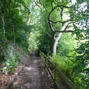 Lymm Dam