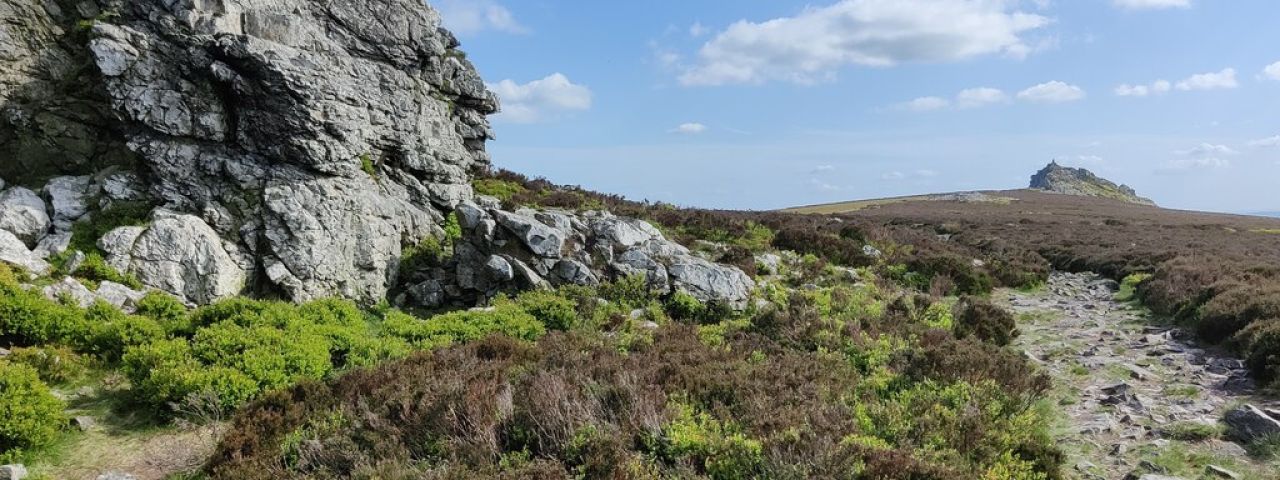 Stiperstones National Nature Reserve | Shrewsbury | England | United Kingdom