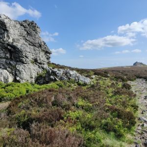 Stiperstones National Nature Reserve