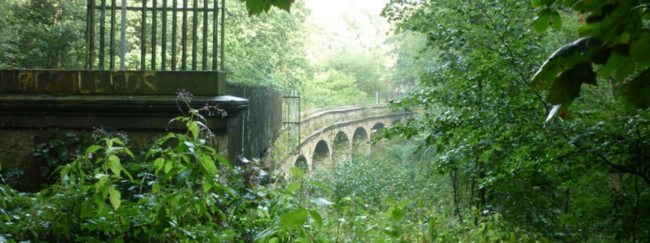 Adel Dam Nature Reserve | Leeds | Inglaterra | Reino Unido