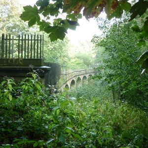 Adel Dam Nature Reserve - Leeds / England / United Kingdom