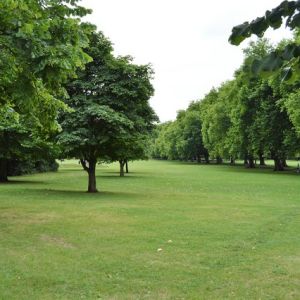 Jesus Green