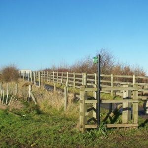 Bramblefields - Cambridge / England / United Kingdom