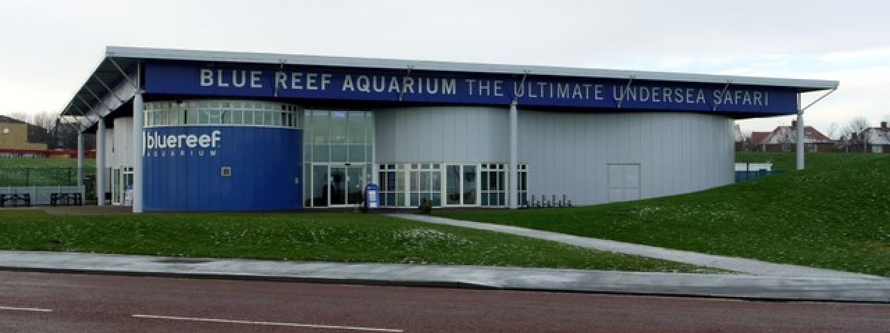 Tynemouth Aquarium | North Shields | England | United Kingdom