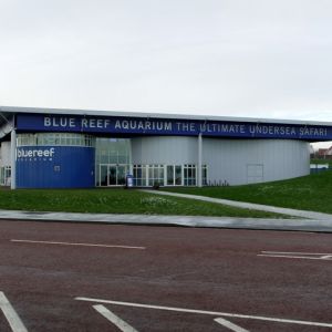 Tynemouth Aquarium