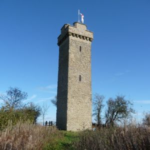 Flounders' Folly