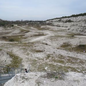 Cherry Hinton Chalk Pits - Cambridge / England / United Kingdom