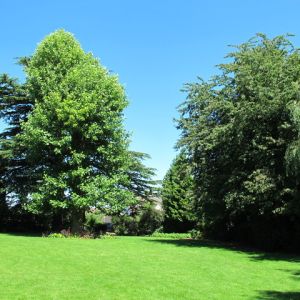 Langley Park Gardens