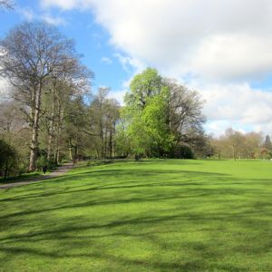 Verulamium Park