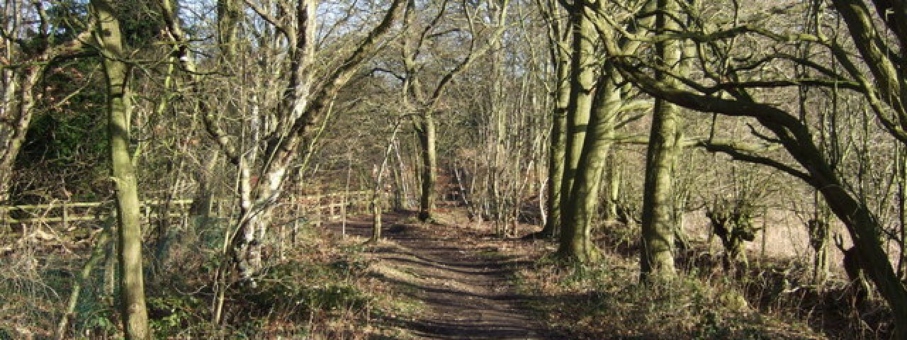 Golden Acre Park | Leeds | England | United Kingdom