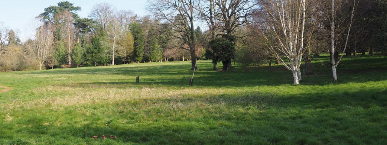 Lynford Arboretum | Thetford | England | Großbritannien