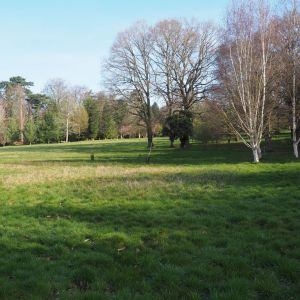 Lynford Arboretum