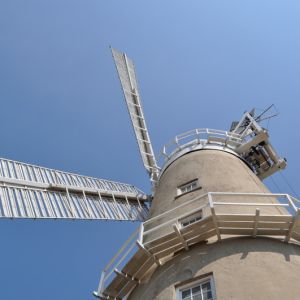 Denver Windmill