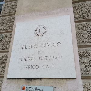 MUSEO SCIENZE NATURALI