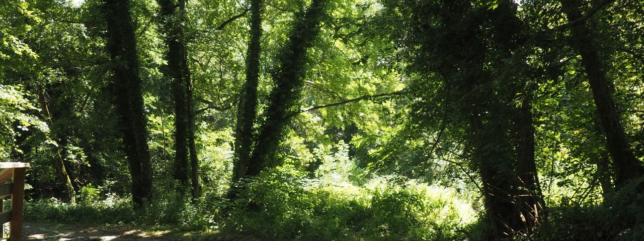 Parco Naturale delle Lame del Sesia | Vercelli | Piemonte | Italy