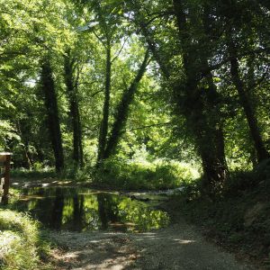 Parco Naturale delle Lame del Sesia - piemonte / italy